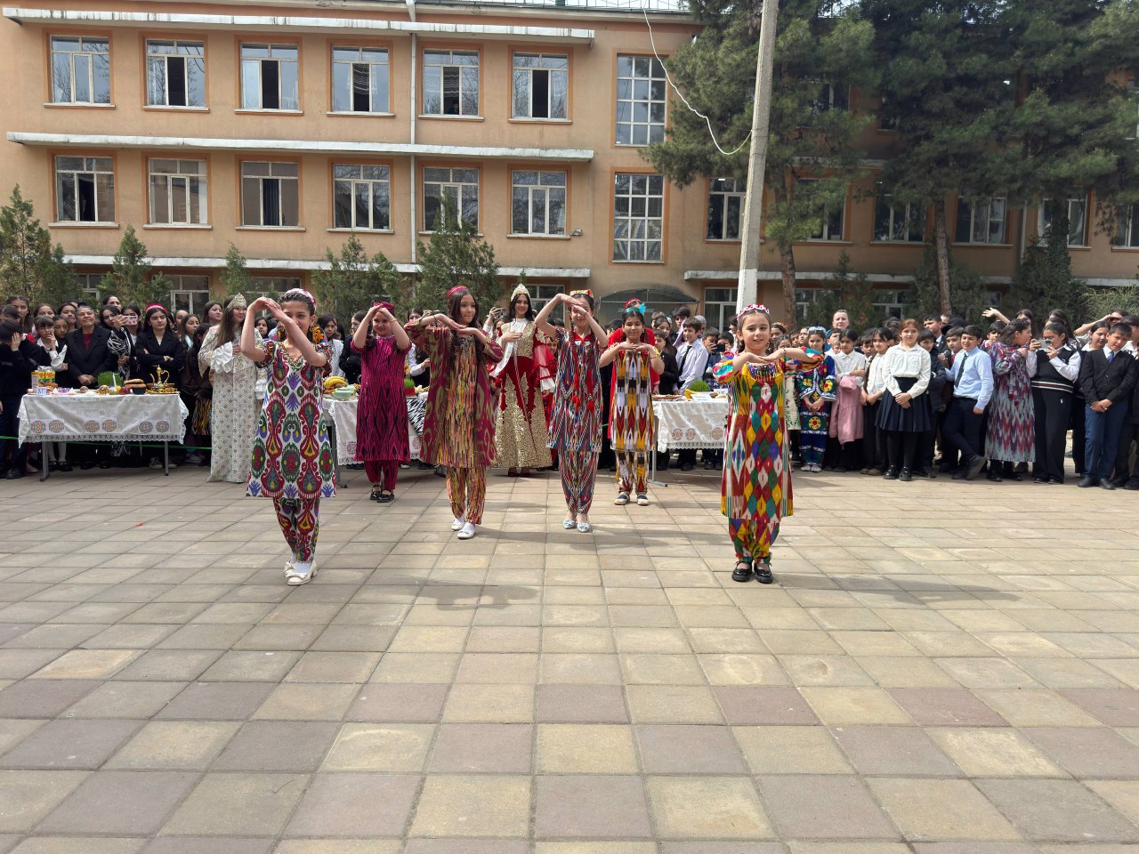 WhatsApp Image 2026-03-18 at 07.14.33.jpeg