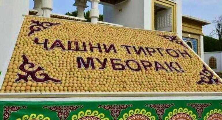 Тиргон: древний праздник воды, чистоты и национального самосознания