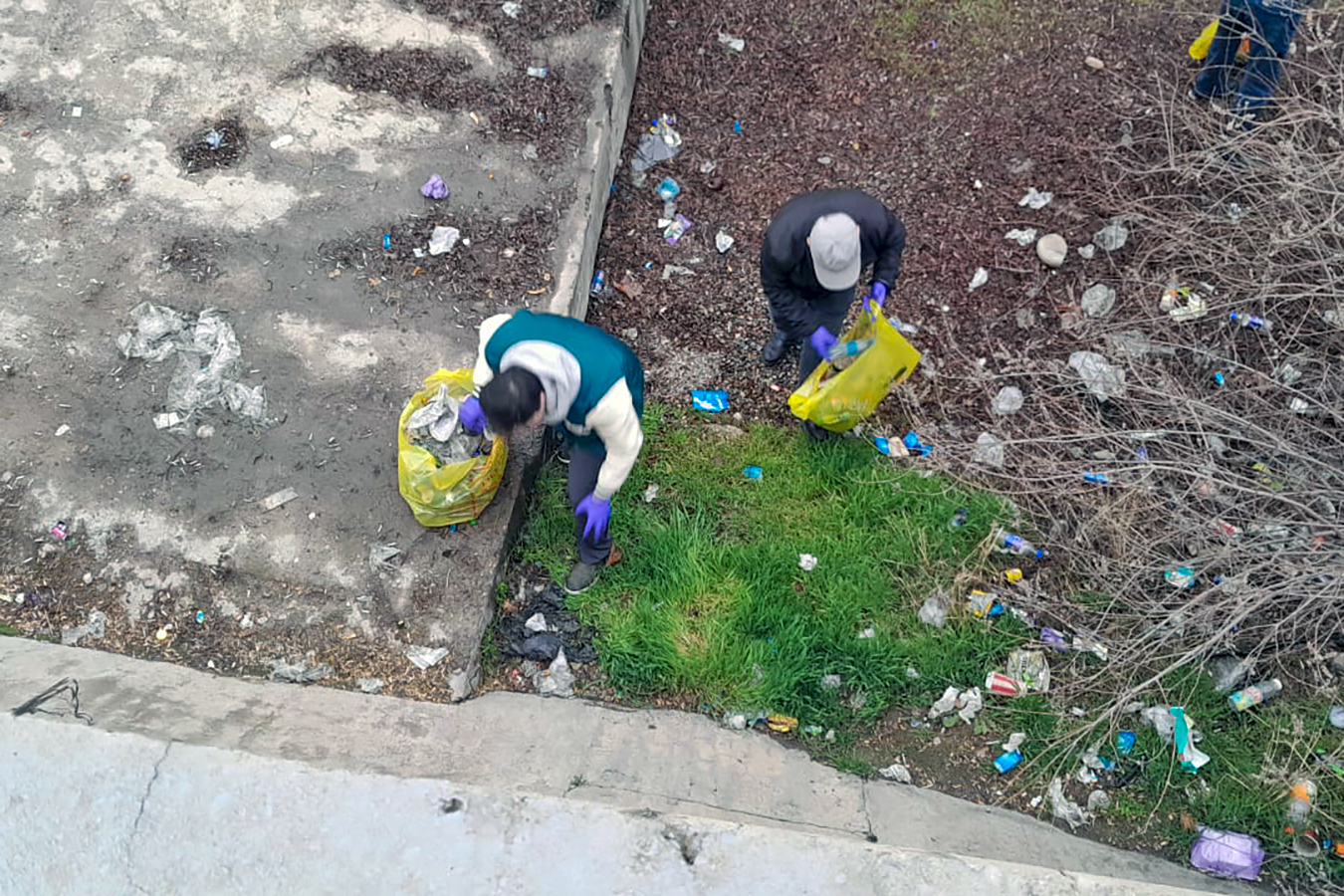 WhatsApp Image 2026-02-21 at 09.37.30.jpg